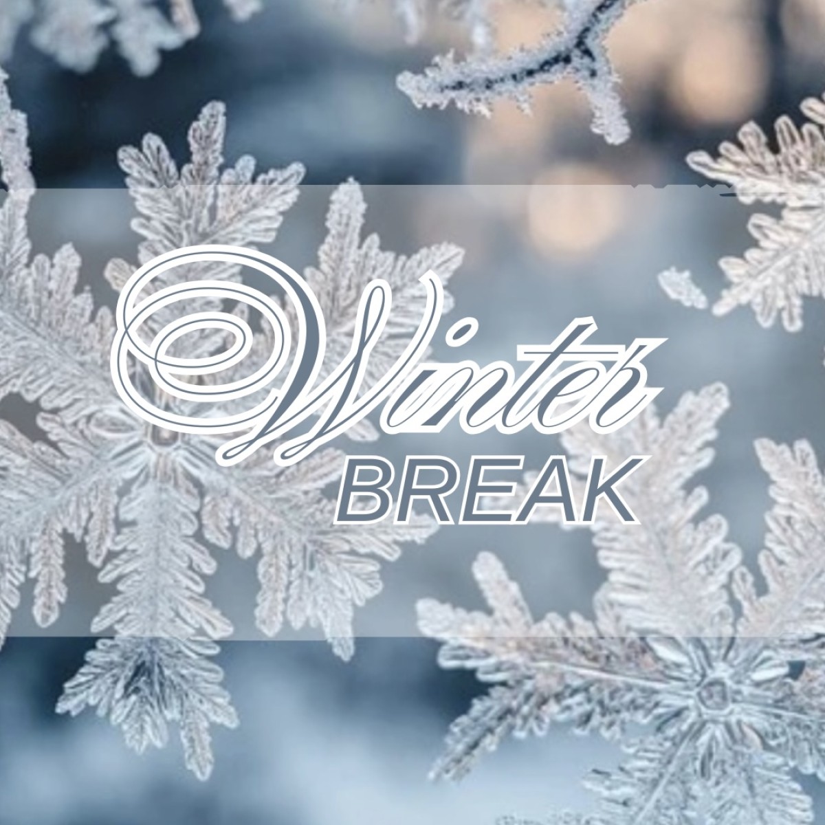 pages_content_1209_photo